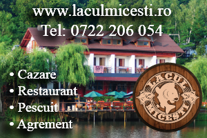 Lacul-Micesti
