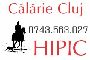 hipic calarie cluj